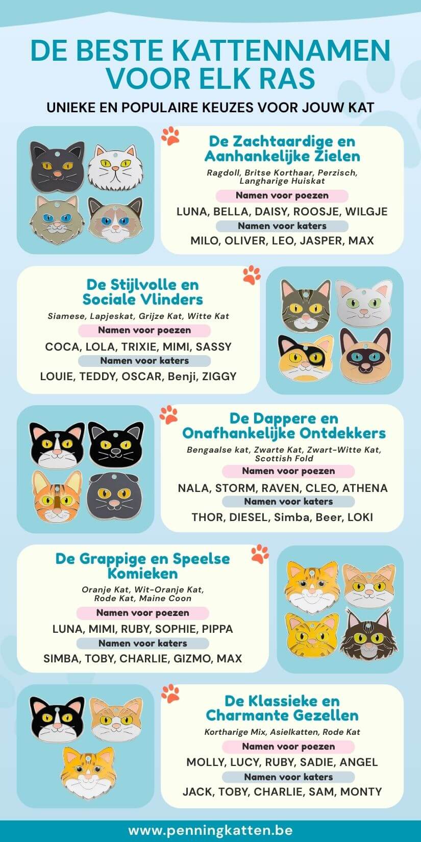 Overzicht van kittennamen per ras en karakter met mannelijke en vrouwelijke namen en kattenpenningen